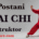 Tai Chi header - David Petrović - Chen stil