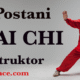 Tai Chi header - David Petrović - Chen stil