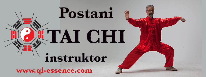 Tai Chi header - David Petrović - Chen stil