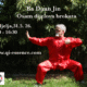 Ba Duan Jin - David Petrović